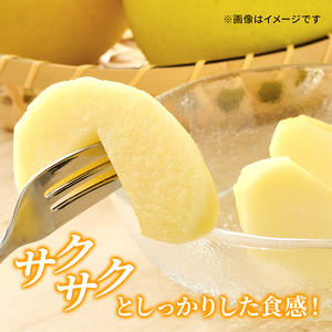シナノゴールド 秀品 約5kg 16～20玉入 長野県産 果物類 林檎 りんご リンゴ フルーツ 小諸市