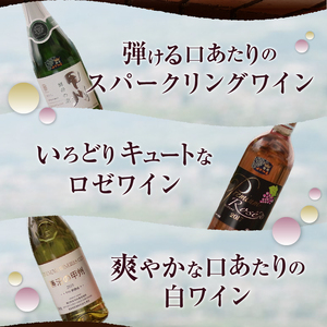 ワイン 爽快ワイン3種セット （KBO）C-662