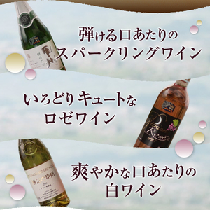 ワイン 爽快ワイン6種セット （KBO）E-603