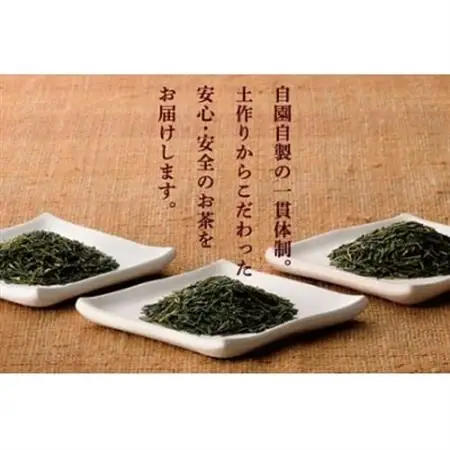 おりたの特別栽培知覧茶5本セット【1185906】