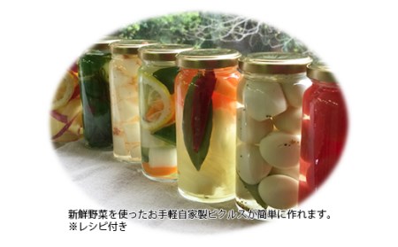 ☆りんごと蜂蜜の熟成りんご酢☆ FZ20-467