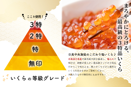 塩いくら3特品(500g×1箱)[02-234]