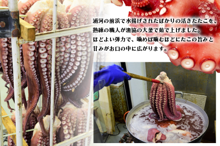 漁協直送！浦河前浜産 活ゆでたこ足（足800g）[02-525]
