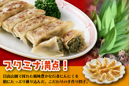 行者にんにく餃子(20個x3袋)[04-617]