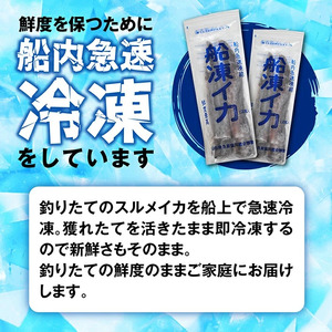 SB0401　船内急速冷凍するめいか　8尾