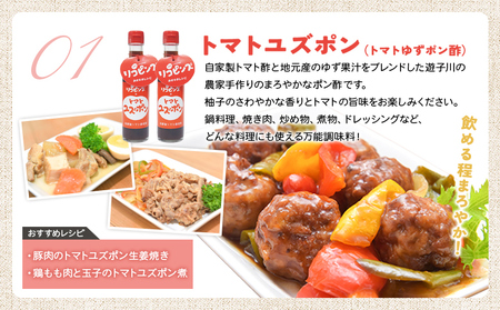 ＜リコピンズの王道セット（遊子川トマトの加工品）＞ とまと 野菜 ケチャップ 子供 ポン酢 完熟 トマトソース ドレッシング 調味料 詰め合わせ ギフト 食べて応援 国産 特産品 遊子川ザ・リコピンズ 愛媛県 西予市【常温】『最短10営業日以内に発送予定』 SYR0001