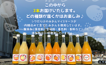 ＜一歩会 ジュエリーボックス ジュース飲み比べセット 720ml×3本入り（果汁100%ストレートジュース）愛媛 みかん＞ ミカン 柑橘 果物 フルーツ 特産品 渡江から一歩を踏み出す会 飲んで応援 愛媛県 西予市【常温】『令和8年5月より順次出荷予定』ATI0005
