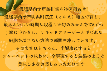 ＜冷凍みきゃんセット みきゃん盛り 温州みかん18個セット（皮付き 10個・皮無し8個）＞ ミカン 温州みかん 柑橘 果物 フルーツ デザート 詰め合わせ 特産品 渡江から一歩を踏み出す会 食べて応援 愛媛県 西予市【冷凍】『1か月以内に順次出荷予定』ATI0006