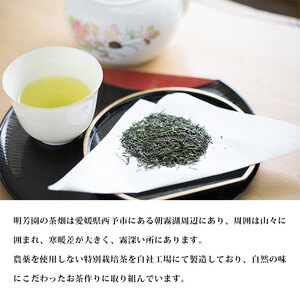 明芳園 朝霧 宇和茶セット UME0003