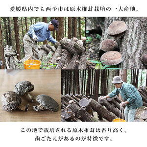 西予市産 原木乾椎茸(200g)×2と原木乾椎茸スライス(100g)×2のセット USK0002