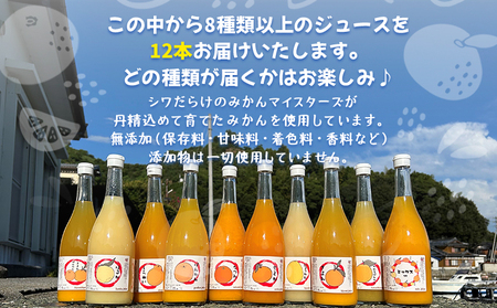 ＜一歩会 ジュエリーボックス ジュース飲み比べセット 720ml×12本入り（果汁100%ストレートジュース）愛媛 みかん＞ ミカン 柑橘 果物 フルーツ 特産品 渡江から一歩を踏み出す会 飲んで応援 愛媛県 西予市【常温】『令和8年5月より順次発送』ATI0028