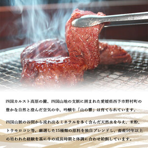 愛媛県産吟醸牛「山の響」特選和牛焼肉食べ比べセット（国産黒毛和牛） NTC0001