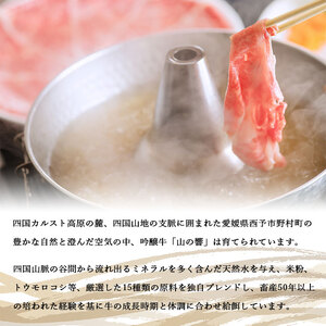 愛媛県産吟醸牛「山の響」特選和牛すき焼き・しゃぶしゃぶ（国産黒毛和牛） NTC0003