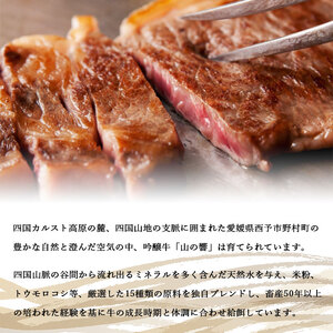 愛媛県産吟醸牛「山の響」特選和牛ロースステーキ（国産黒毛和牛） NTC0004