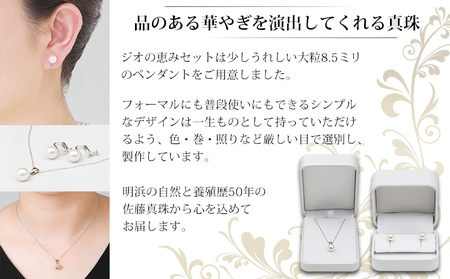 保証書付＜明浜産真珠ジオの恵みセット(ペンダント・イヤリング)＞ 8.5～9.0mm 純国産 あこや ネジ式 パール アクセサリー フォーマル ファッション レディース 女性 誕生日 記念日 成人祝い 佐藤真珠 愛媛県 西予市 【常温】『最短10営業日以内に発送予定』 ASS0032