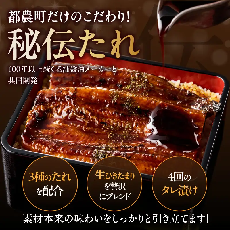 うなぎ蒲焼特大2尾(さんしょう・たれ付き)計380g以上 鰻 魚 魚介 加工品 国産_T026-0065