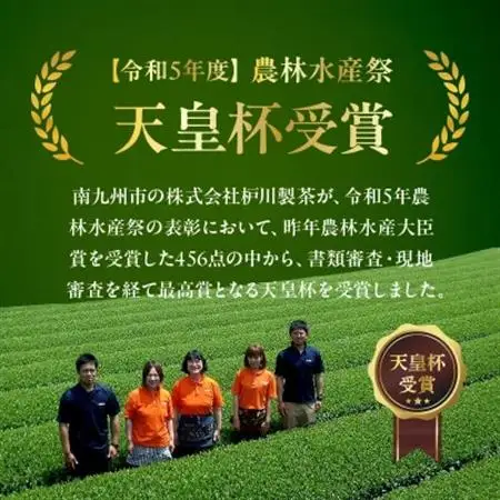 急須いらずの知覧茶お手軽セット【1185917】