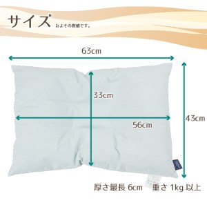 　アース製薬と共同開発！防ダニ枕【Dani Not】そば殻　43×63㎝ 15-27
