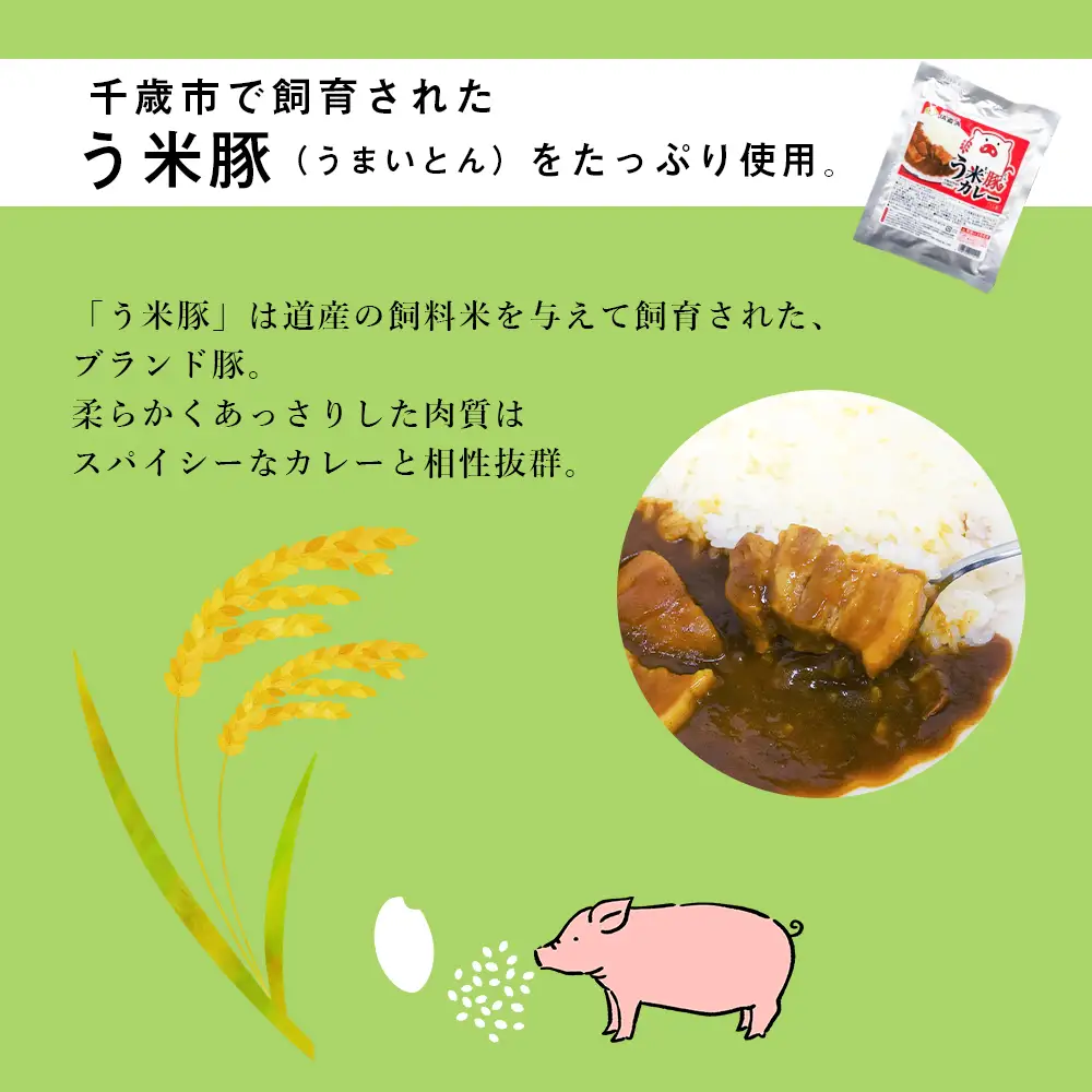う米豚カレー200g×8袋 加工食品 惣菜 レトルト