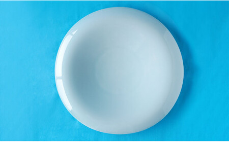 有田焼 青白磁渕下りパスタ皿 有田焼 プレート【神田陶器店】 青白磁 可愛い プレート 和食 プレゼント シンプル A24-212