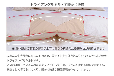 【河田フェザー使用】 羽毛 掛けふとん ECO ホワイト ダブルロング 190×210 ECOダウン フェザー 高級 ふとん 布団 フトン 寝心地 品質 高級 ホテル 掛け布団 日本製 河田フェザー 羽毛布団 睡眠 エコ ダブル 清潔 Z1