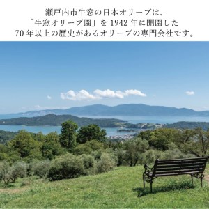 オリーブオイル 赤屋根ガーリックオリーブオイル 450g 3本 セット