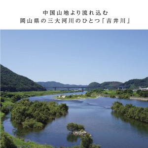 清酒リキュール「白桃酒」「マスカット酒」飲み比べ お酒 洋酒 