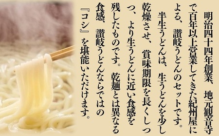 さぬきうどん半生（つゆ付）（75人前）3人前×25袋 麺類 讃岐うどん 