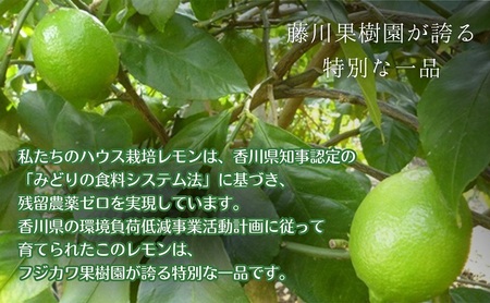 【2026年 先行予約】みどり認定 ハウス栽培グリーンレモン 約2.3kg 国産レモン 香川 果物類／柑橘類／みかん レモン　 