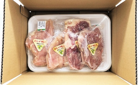 オリーブ地鶏　モモ肉 500g & ムネ肉500g セット 合計約１kg お肉 鶏肉 