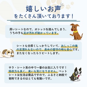 3倍速ふんわりサラ・シート　レギュラー　81枚×4袋　ペットシート ペットシーツ 犬用 ワンちゃん 日本製 雑貨 日用品 防災 防災グッズ 
