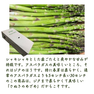 香川県オリジナルアスパラガス「さぬきのめざめロング」(春芽)約1kg 野菜 野菜セット 
