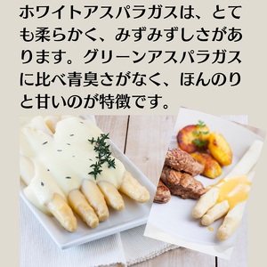ホワイトアスパラガス  約1kg 野菜 