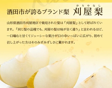 SA2951　酒田の美味しい刈屋梨(和梨) 秀品　約2.8kg(6～9玉入)　品種おまかせ 