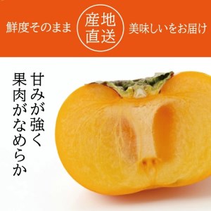 SA2955　酒田の秋の味覚　あまくて美味しい庄内柿(種なし柿) 秀品　約5kg(27～36玉前後)