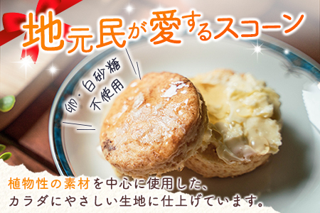 「ピラ☆キラ」の地元民が愛するスコーン 4個＆「パパイア王子」のパパイア果実茶 詰合せ（卵・白砂糖 不使用）【A198】