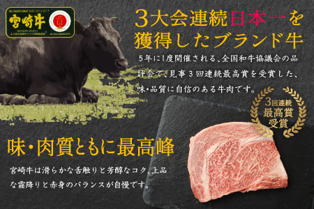 宮崎牛 焼肉 切り落とし 合計1kg（500g×2P）ウデ 牛肉 切り落し 切落し BBQ 国産 普段使い 九州産【C269-30】