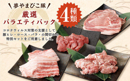 「夢やまびこ豚」厳選バラエティパック 1.0kg | 豚肉 肉 詰め合わせ セット トンカツ 小分け 真空パック 冷蔵 送料無料