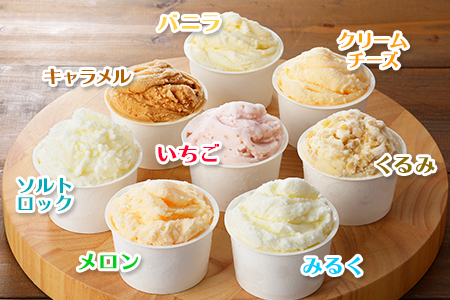 1334.アイスクリーム ジェラート 食べ比べ 8個 アイス 定番 おすすめ B セット 手作り 北海道 弟子屈町