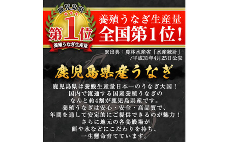 D-037 鹿児島産うなぎ蒲焼セット【うなぎの尾方】霧島市 国産 鹿児島県産うなぎ 蒲焼き