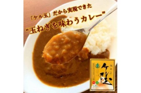 淡路島のケル玉カレーとフライドオニオンセット