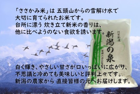 【令和7年産】旧笹神村産 コシヒカリ 3kg 白米 上泉 農家直送 コメドック 金賞 贈答 新潟県、米、こめ、コメ、白米、精米 1Q05011