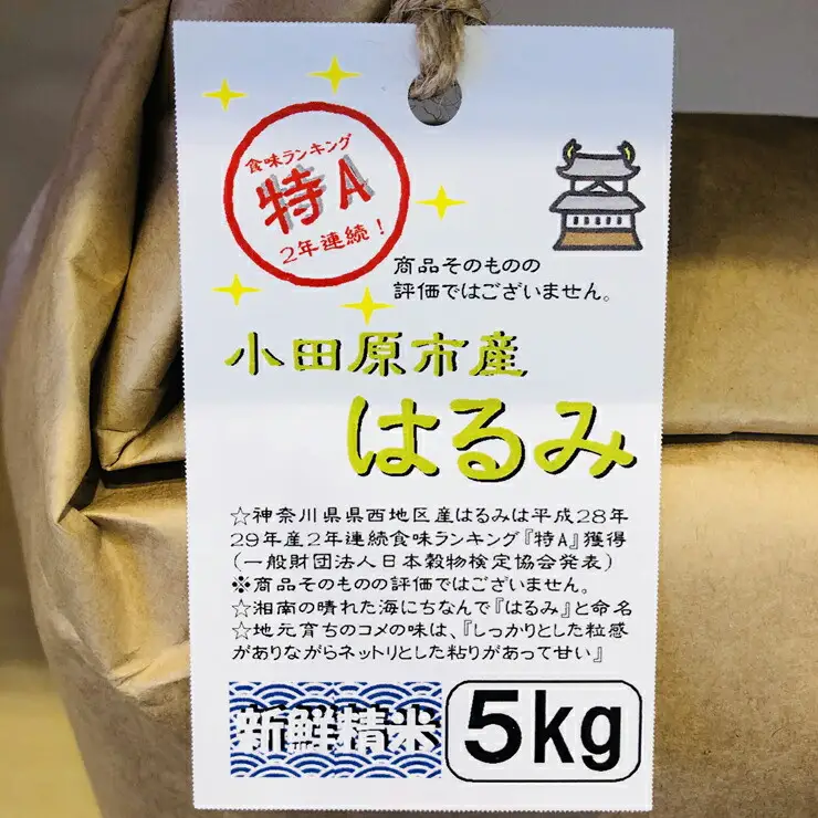 志村屋米穀店 令和7年産小田原市産　はるみ  5kg