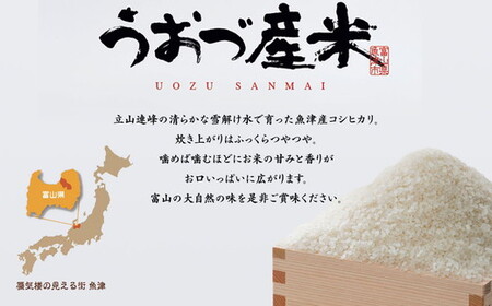 【令和7年度米】富山県 うおづ産米「コシヒカリ」20kg（5kg×4袋）（精米）｜こしひかり こめ コメ お米 おこめ 白米 精米 雪解け水 香り うまみ あまみ 冷めても 美味しい おにぎり お弁当 高品質 魚津市 ※2025年10月上旬～2026年8月下旬頃に順次発送予定 ※北海道・沖縄・離島への配送不可