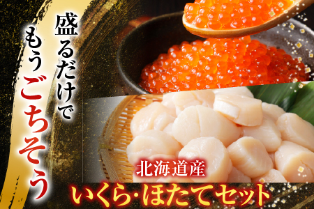 いくら醤油漬け100g×4P、ほたて貝柱500g×2P D-70036