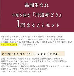 鶏肉 丹波赤どり1羽まるごと 鶏肉 鶏肉 鶏肉 鶏肉 鶏肉 鶏肉