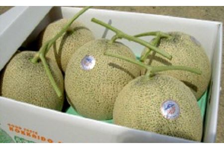 【2026年発送】中富良野赤肉メロン 4～5玉(8kg以上)【AB-004】