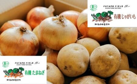 有機野菜セット2種【AN-001】