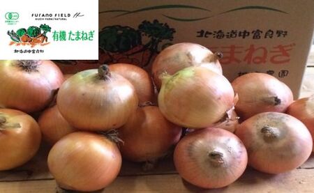 有機玉ねぎ10kg【AN-002】