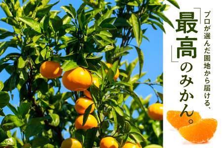 AA074.温州みかん（5kg程度）／2026年11月～2027年1月配送
